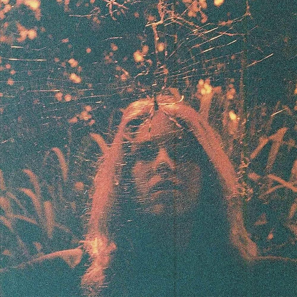 Resenha: Turnover – Peripheral Vision (2015)