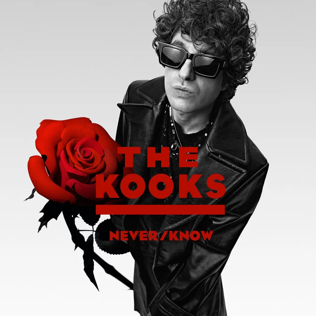 Resenha: The Kooks – Never/Know (2025)