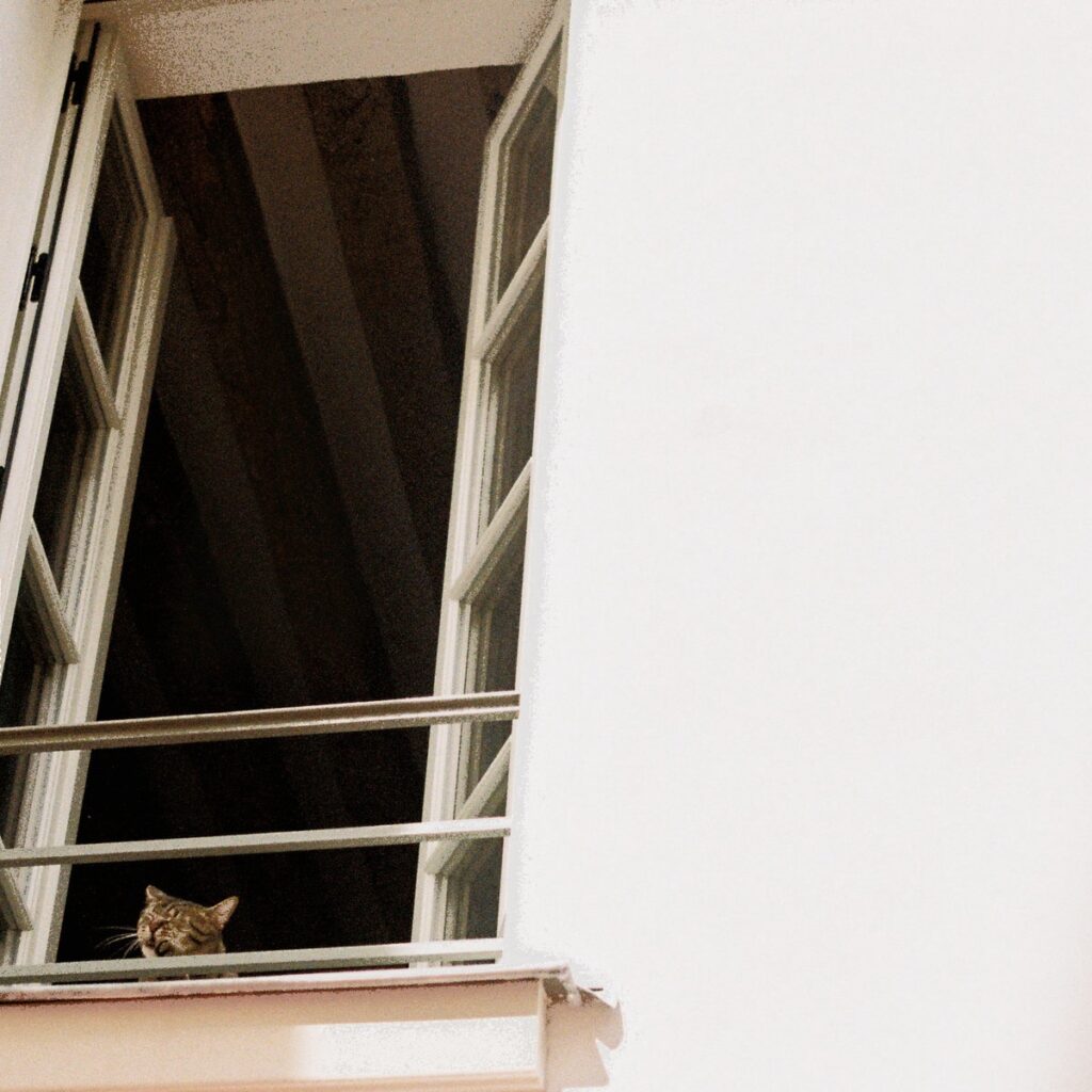 M(h)aol – Something Soft (2025)