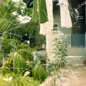 Resenha: Tem mas acabou – Quintal (2024) 6