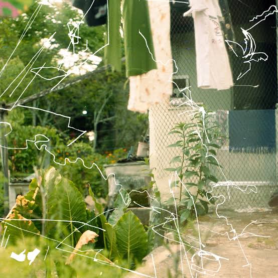 Resenha: Tem mas acabou – Quintal (2024)