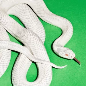 Deftones - Private Music (2025) 2