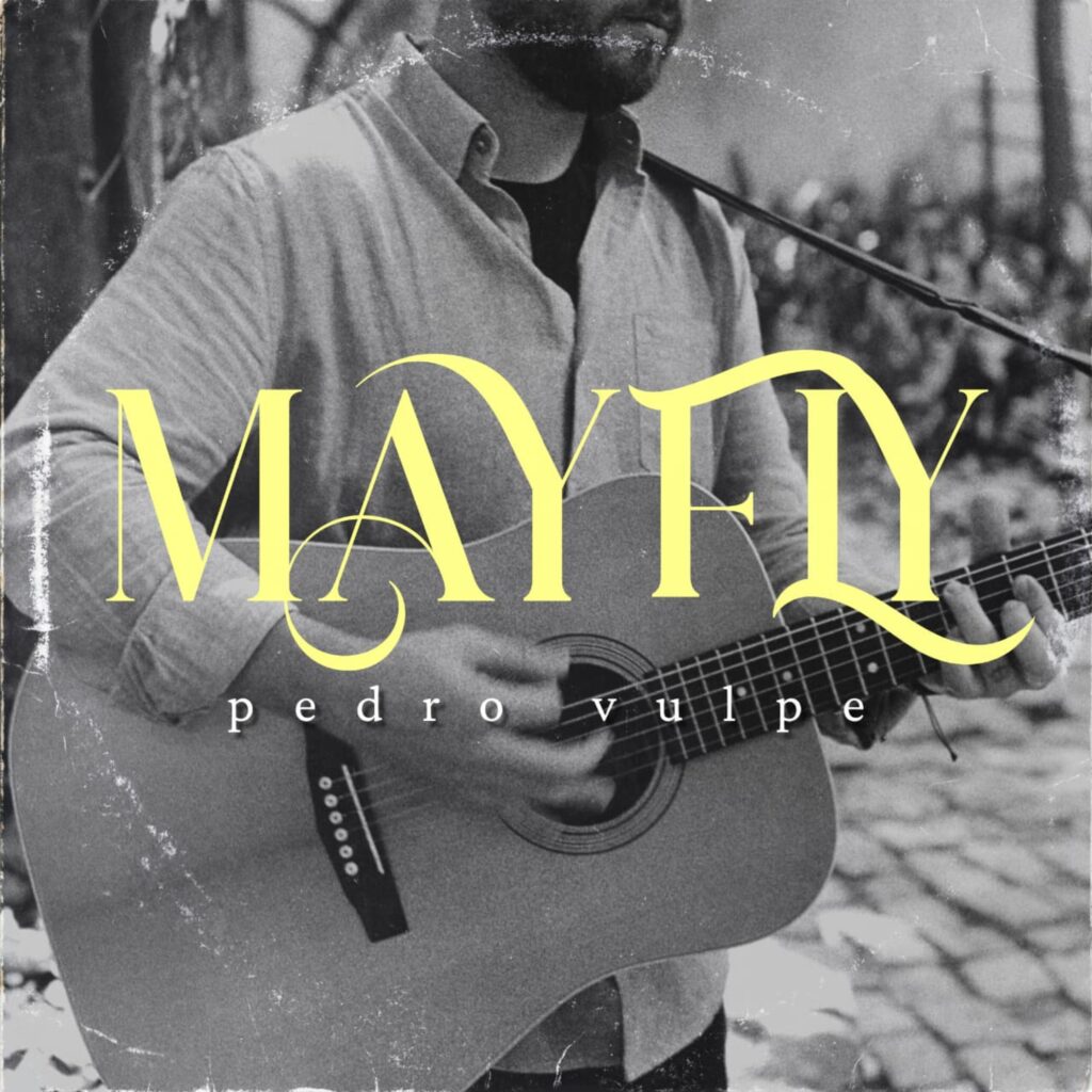 Pedro Vulpe – Mayfly EP (2025)