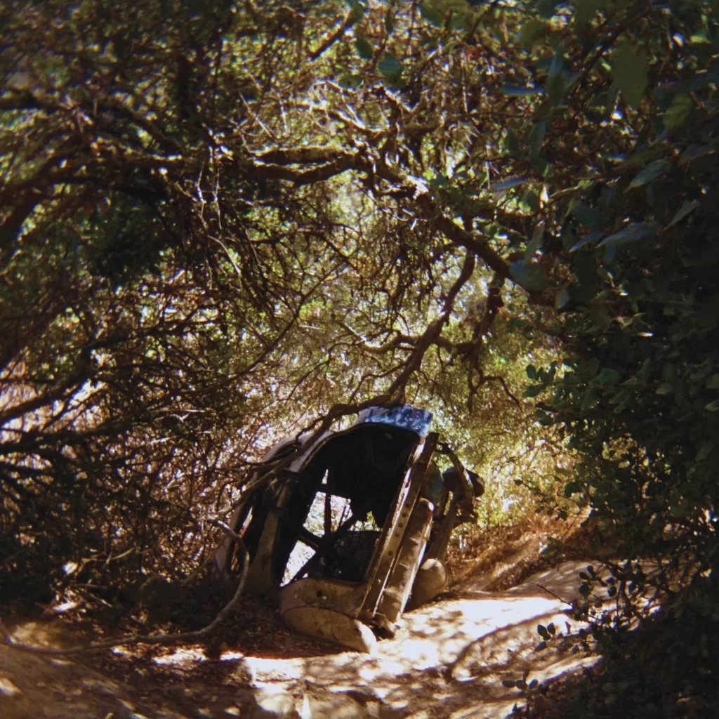 Ty Segall — Possession (2025)