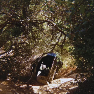 Ty Segall — Possession (2025) 8