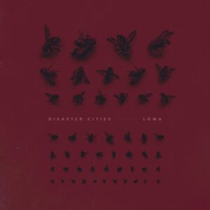 Disaster Cities – LOWA 2