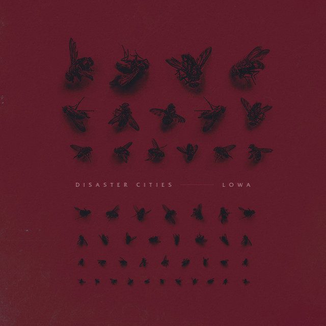 Disaster Cities – LOWA