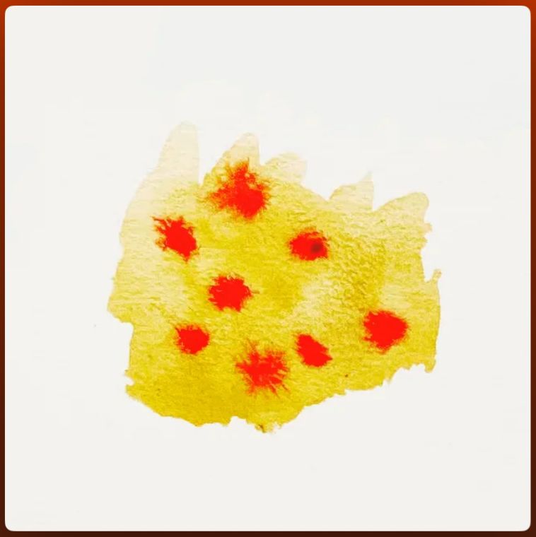 TUTU NANA - Sobre As Aves EP (2026) 6