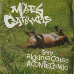 Tem alguma coisa acontecendo