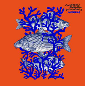 Camarones Orquestra Guitarrística - Samburá (2026) 15