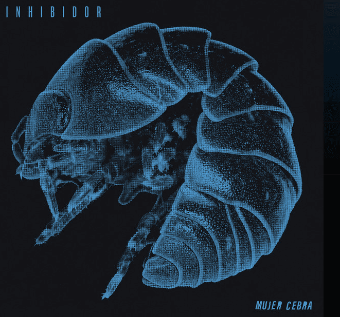 Mujer Cebra – Inhibidor (2026) 6
