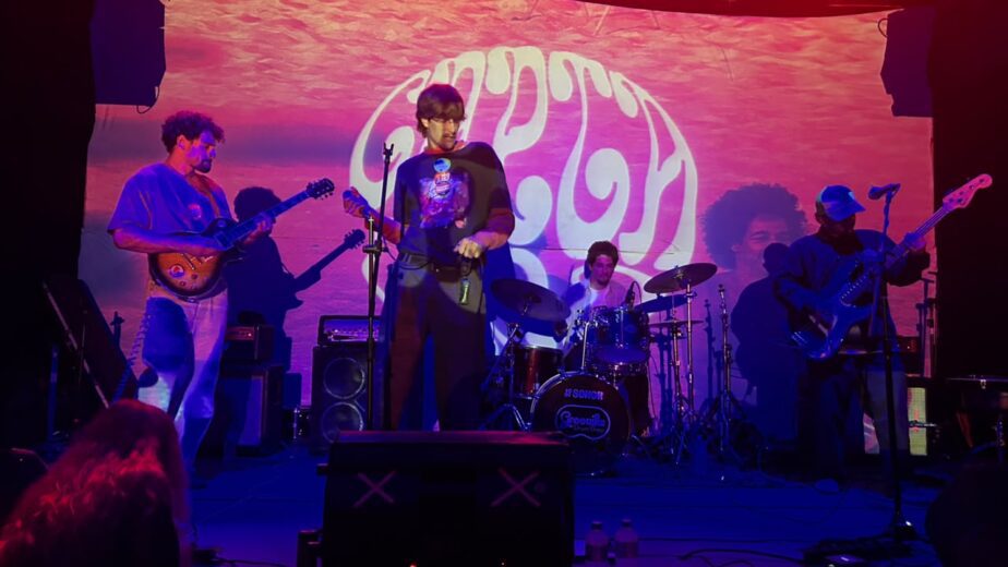 Carta Oro, Tapete Tapete e Muñoz na Célula Showcase: três bandas que sabem tocar ao vivo